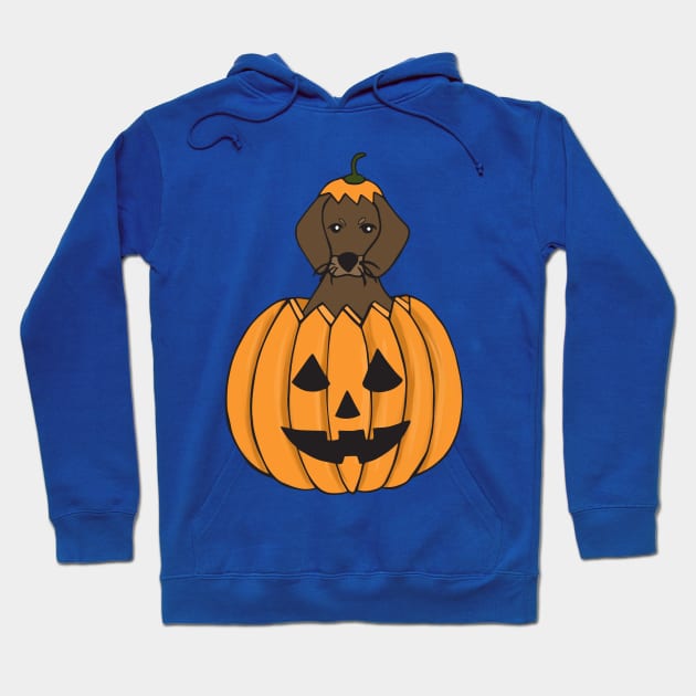 Dachshund in a Halloween Pumpkin Hoodie by estudioanzol